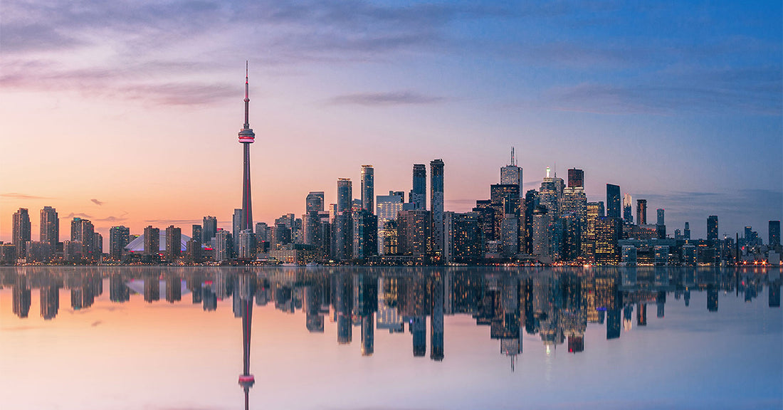 Best Coffee Shops in Toronto: A Caffeine Lover's Guide to the 6ix